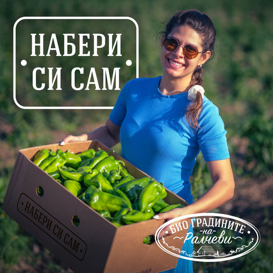 Набери си сам 2026