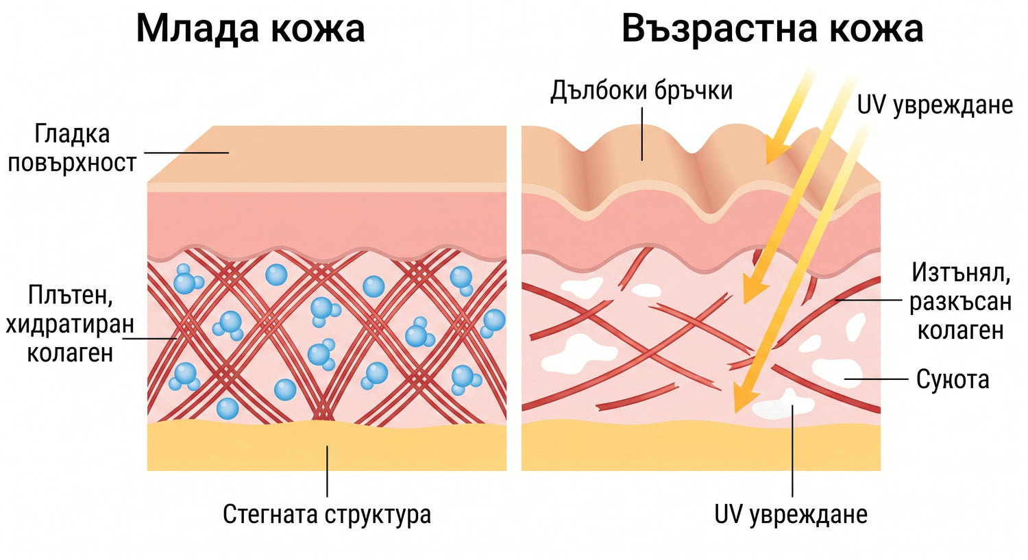 spf BG infographic