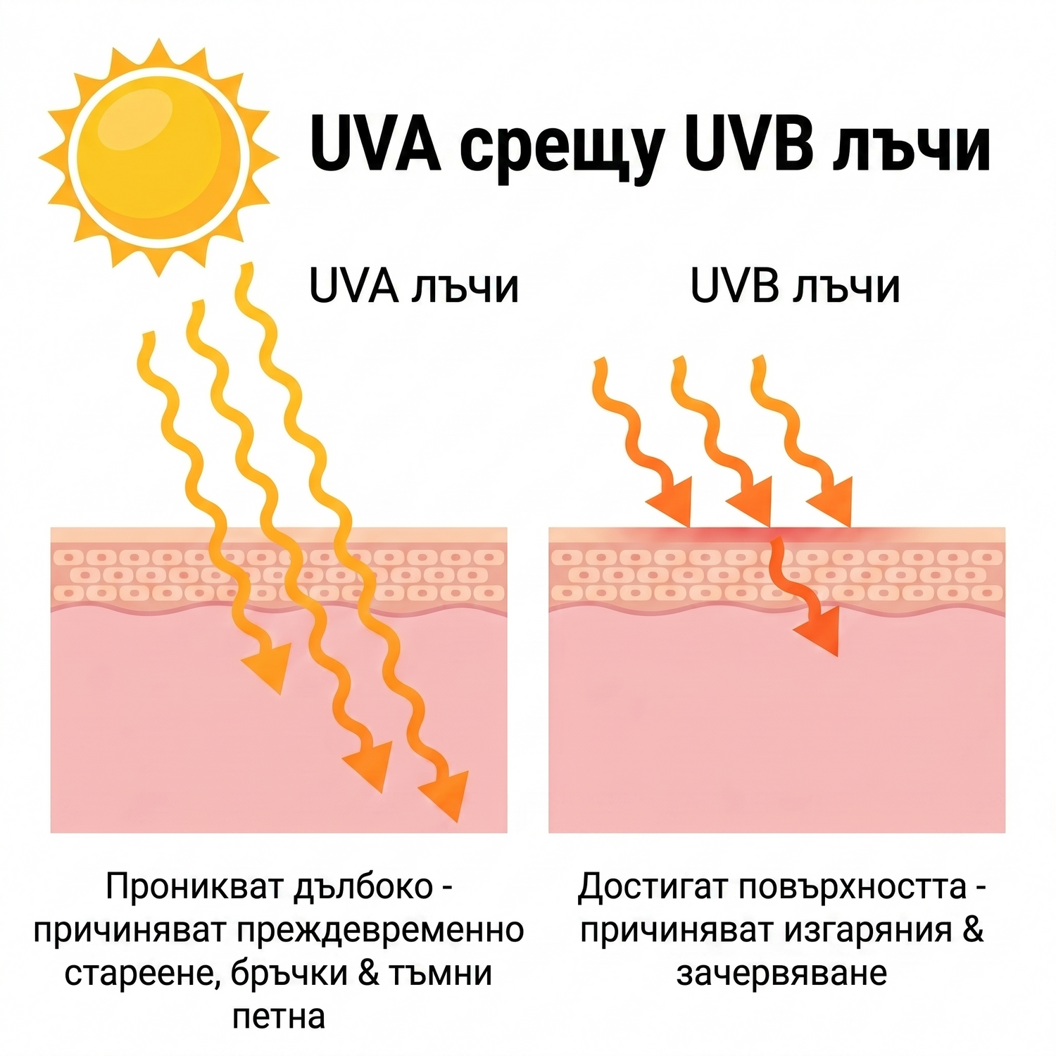 spf BG infographic