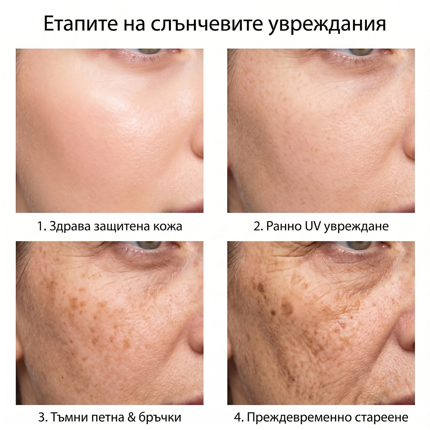 spf BG infographic